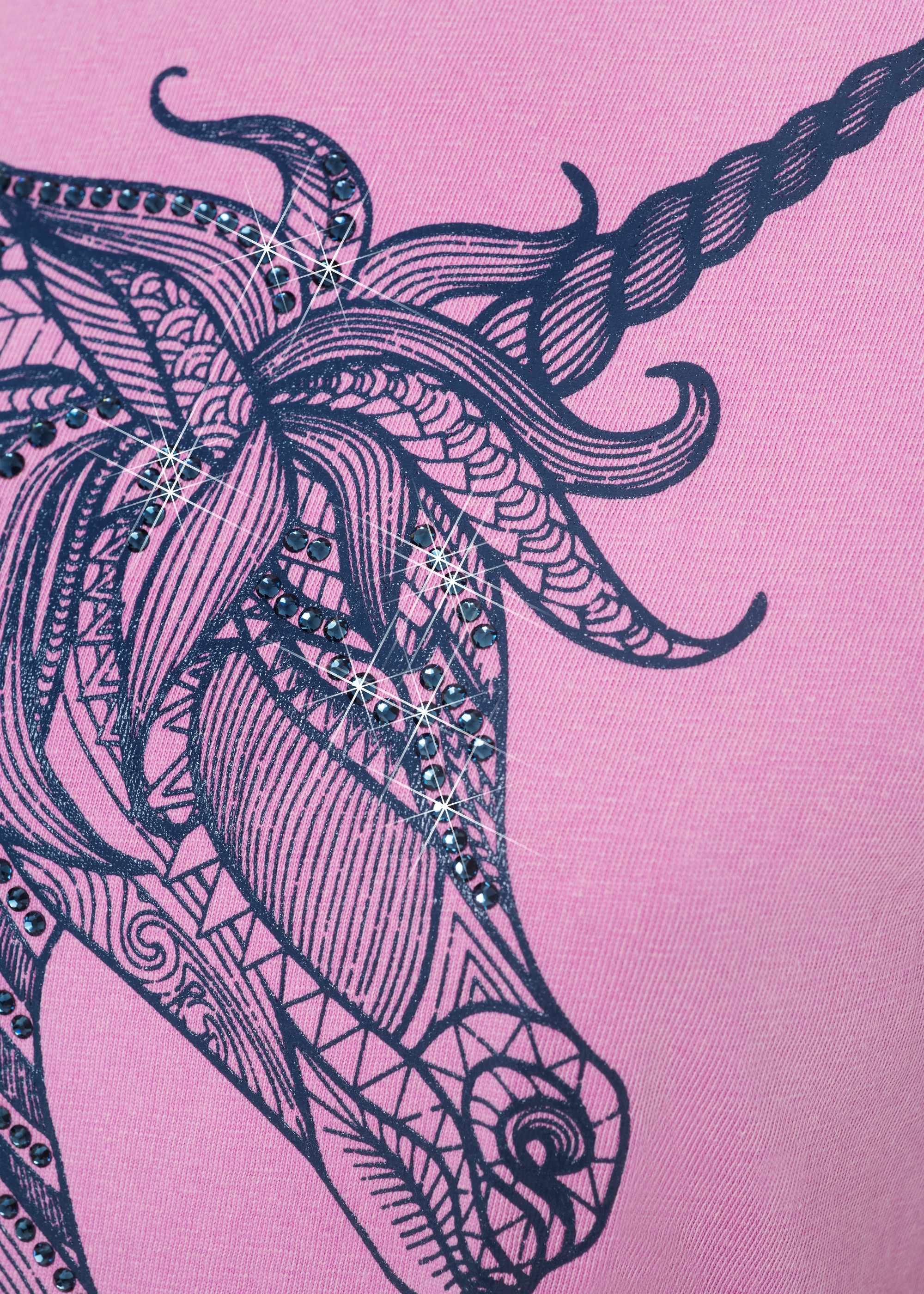 HAUPTSTADTROCKER Unicorn Vintage Shirt